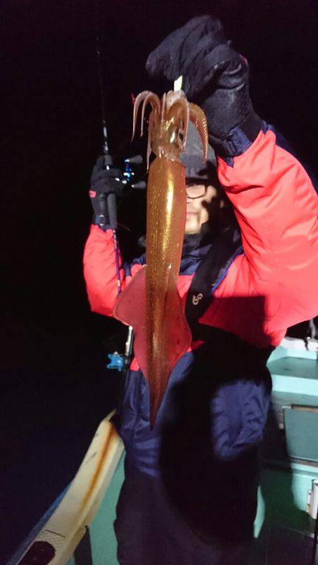 シードリーム 釣果