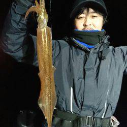 シードリーム 釣果