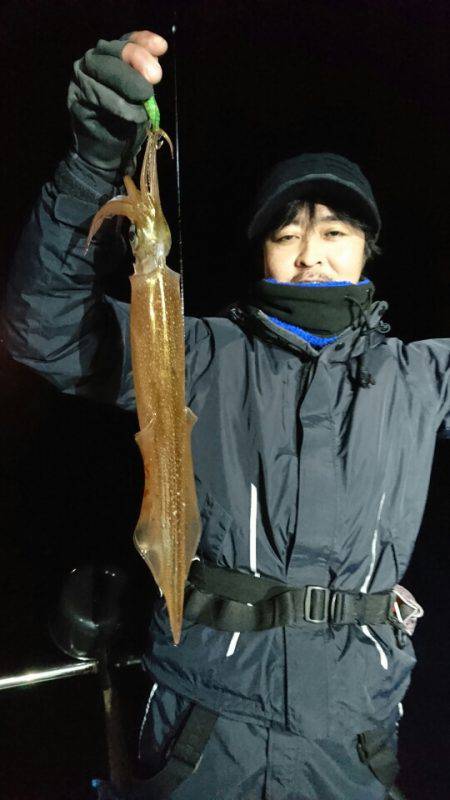 シードリーム 釣果