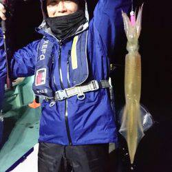 シードリーム 釣果