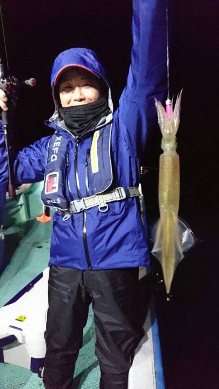 シードリーム 釣果