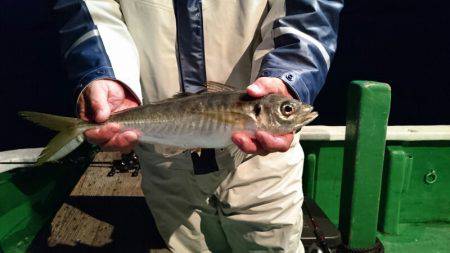 太幸丸 釣果