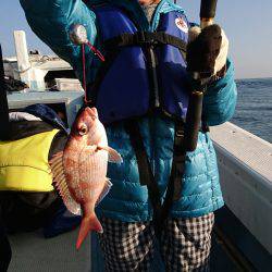 リトルワン 釣果