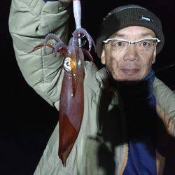 シードリーム 釣果