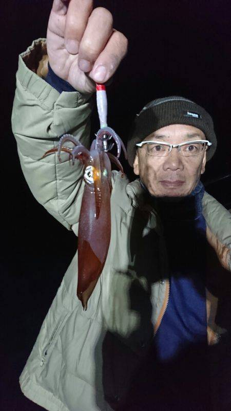 シードリーム 釣果