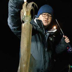 シードリーム 釣果