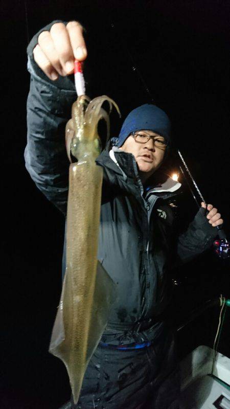 シードリーム 釣果