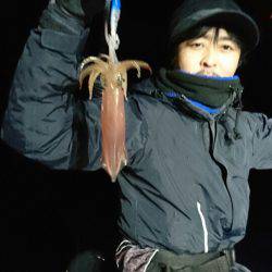 シードリーム 釣果