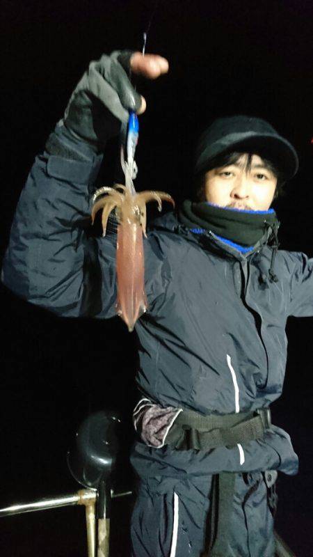 シードリーム 釣果