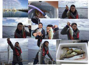 クルーザーフィッシングトムトム 釣果