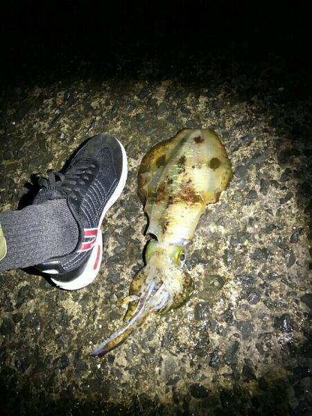 ヤエンにどっぷり。