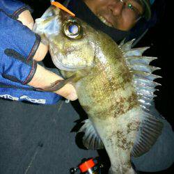 大寒波！氷点下！でも釣れた！(笑)