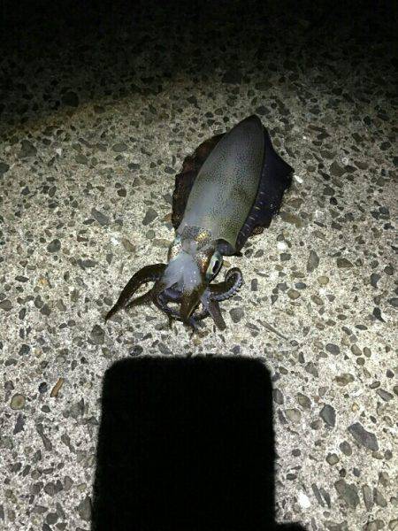 ヤエン中毒(笑)