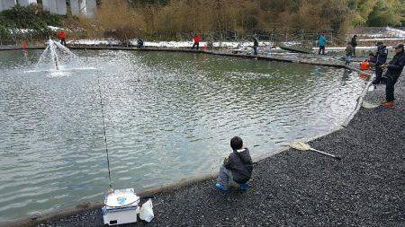 アクアヘブン創業一年！