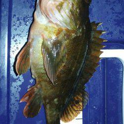 納得行く釣りできない