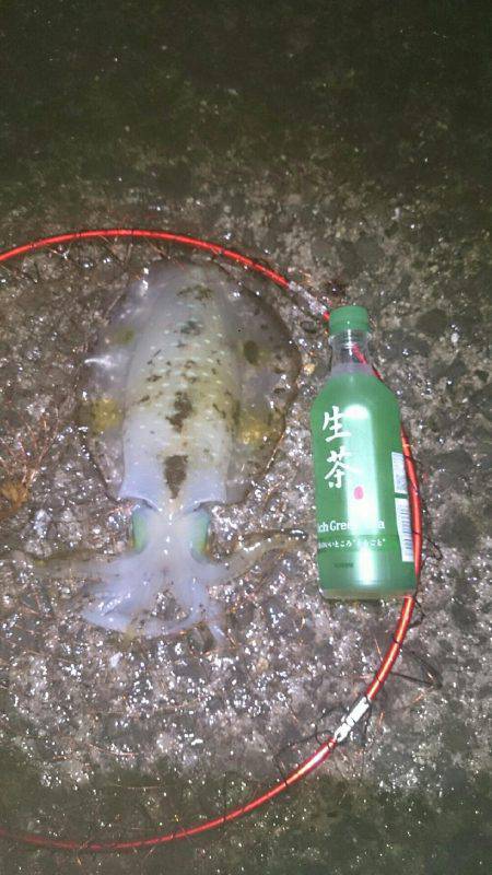 聖地は寒くても釣れる！