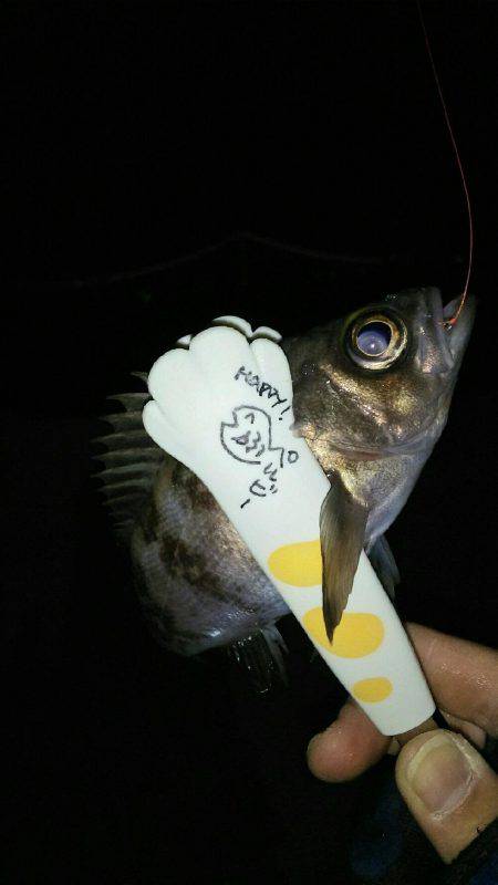 穏やかな日にメバリング