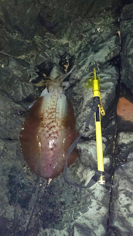 レッドモンスター