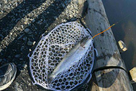 アクアヘブン、平日昼間