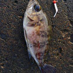 ミップル様周辺にて(笑)。