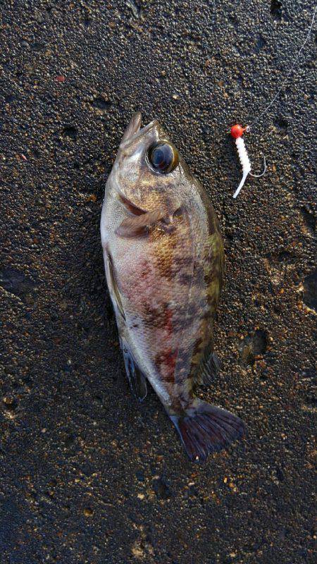 ミップル様周辺にて(笑)。