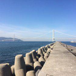 タルイチでコブトリ