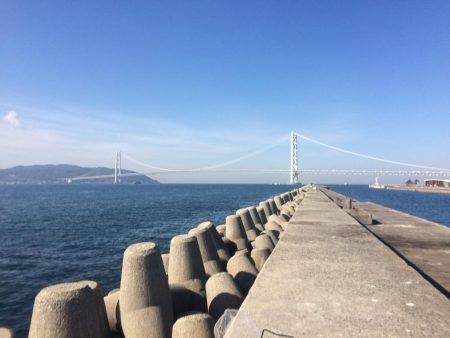 タルイチでコブトリ