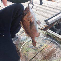 久々の釣り堀。