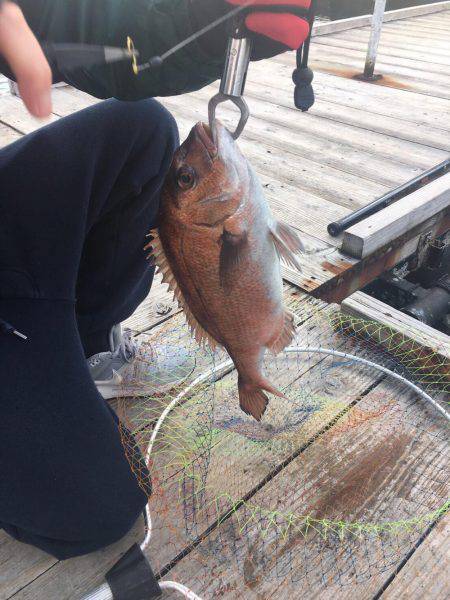 久々の釣り堀。