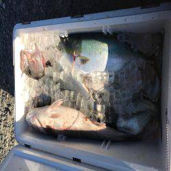 トーバスジギング