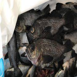 メバル  夜釣り  リタックル