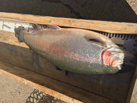 裾野フィッシングパーク