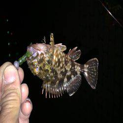 根魚ポイント開拓