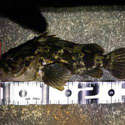 某水路にてライトゲーム