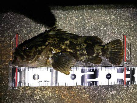 某水路にてライトゲーム