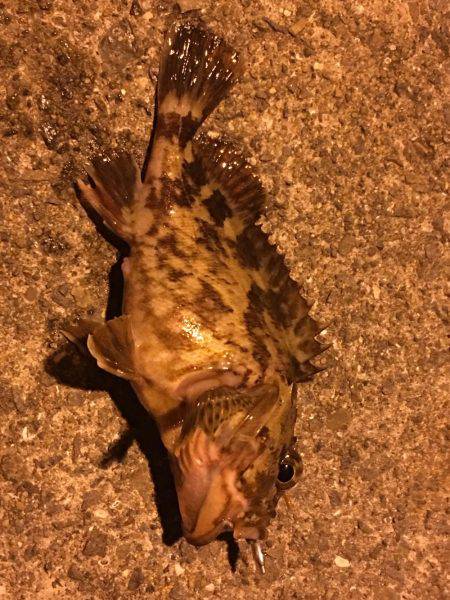 北公園ライトゲーム