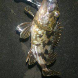 久々ライトゲーム