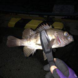 プレミアムフライデー