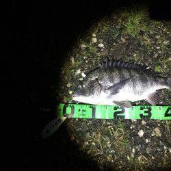 厳しい中なんとか