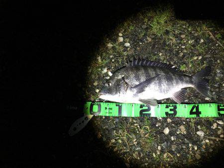 厳しい中なんとか