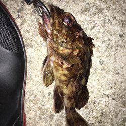 よーつれますよ〜