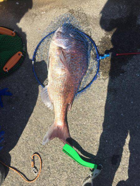 鯛ラバで釣ったぜー！