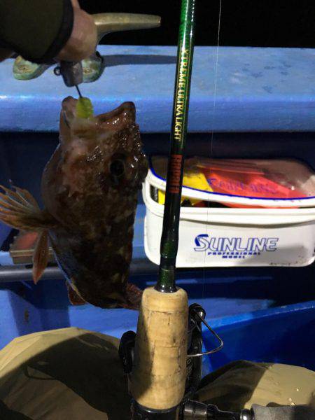 ヤザワ渡船ロックショート便