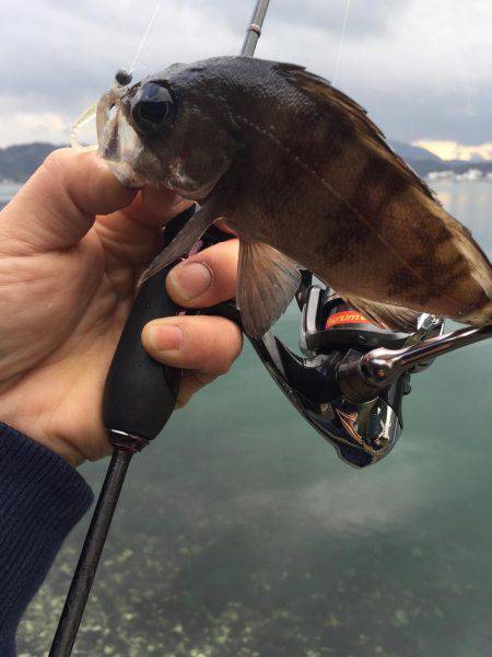 デイメバリング