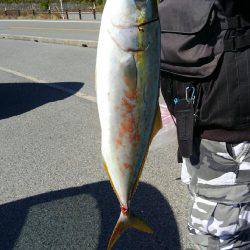 ショアジギング