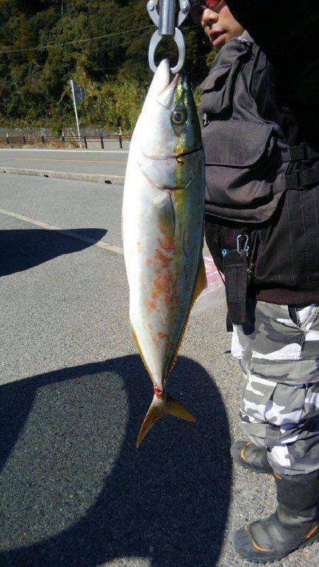 ショアジギング