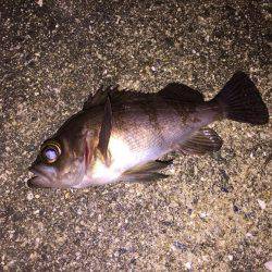 雨が降る前に！