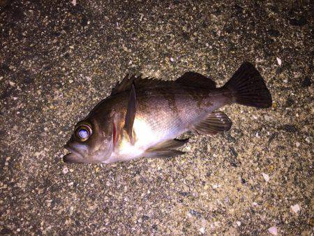 雨が降る前に！