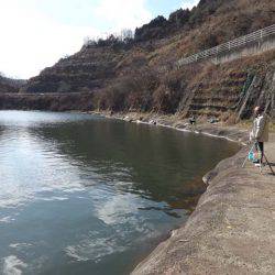 だんだん渋くなってる?布目湖のワカサギ