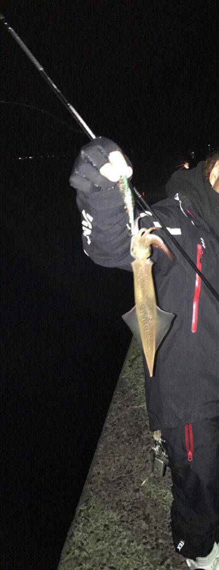 やりいかエギング